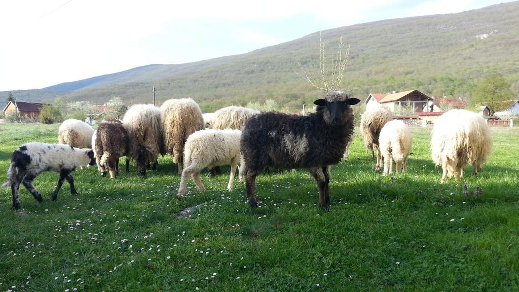 Gacka Valley Licko Lesce Eksteriør billede